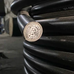 Osaka Entry Tee Superdry