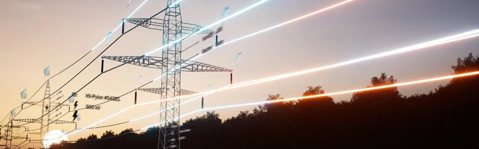 Dây Cáp Điện NH