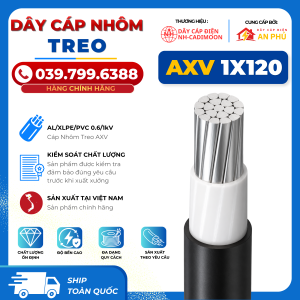 Cáp Nhôm AXV 1x120mm – AL/XLPE/PVC – 0.6kV – TCVN 6447